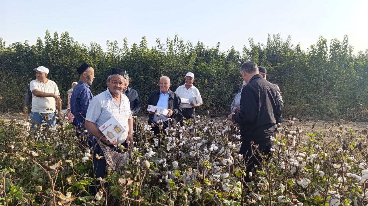 Hasharchilarni yo‘qlab...