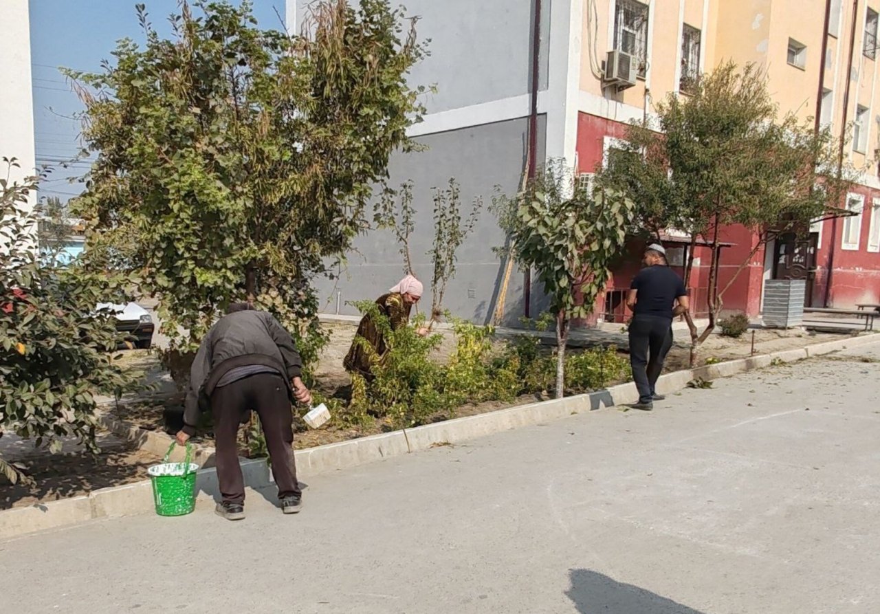 “Obod xonadon, obod ko‘cha, obod mahalla” asosida hashar tashkil etildi