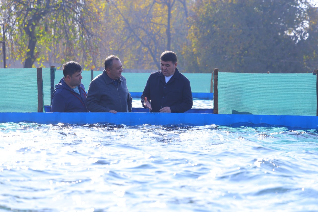 Shavkatjon Abdurazzoqov tumandagi baliq yetishtirish loyihasi bilan tanishdi